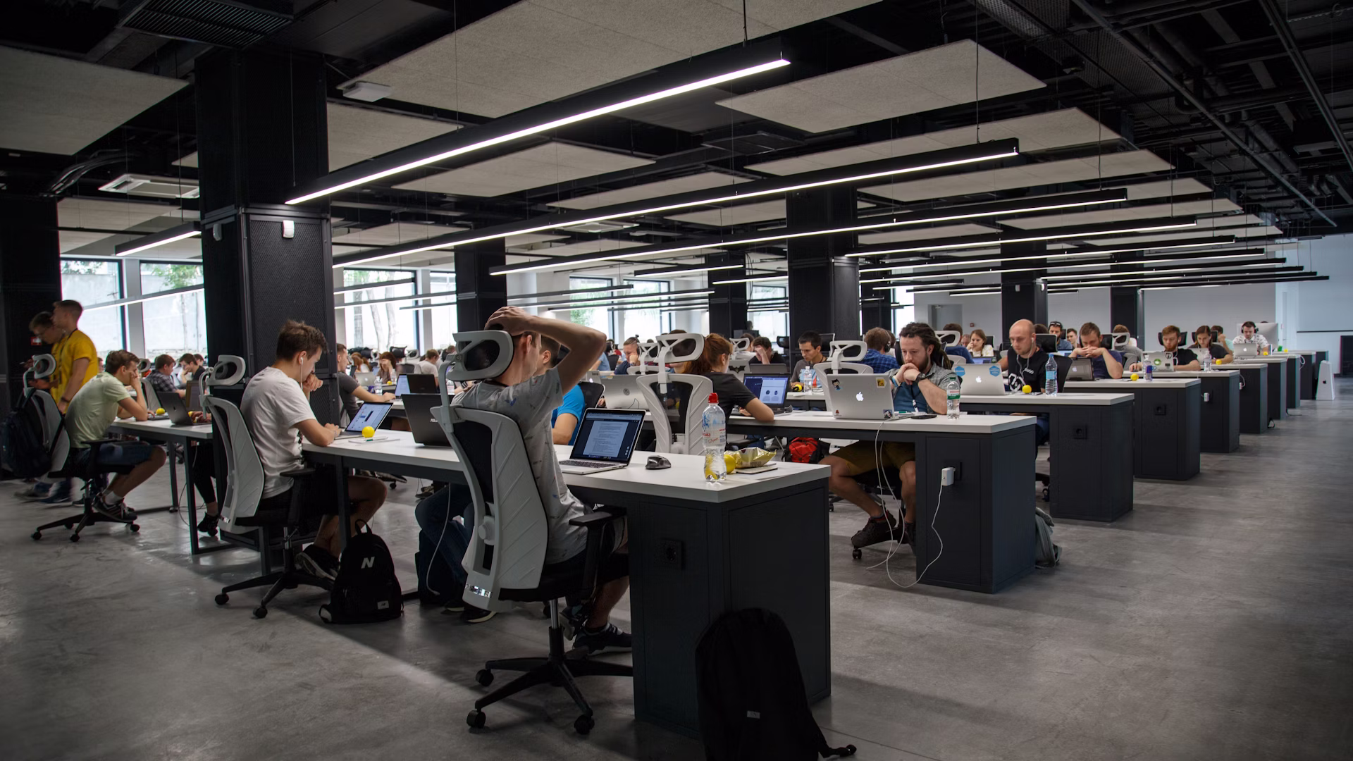 Software development workspace